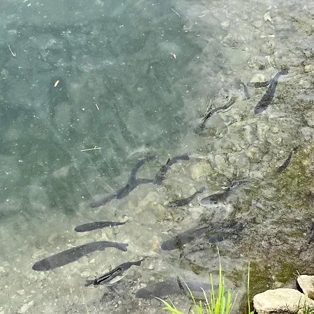 Apartament Apartmanovy Dom Adas Prosiek